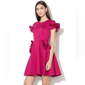 NWT Ted Baker Women’s Ruffle Detail Skater Dress Deep Pink Size 4 Gold Zipper